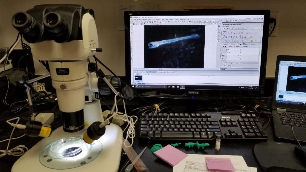 Dissecting Microscope (Nikon SMZ-1270) Equipped with a Camera (Nikon NIS-Elements software). USFWS/Adam Dziewa. 2018.