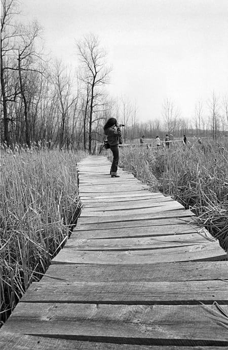 Photo memory 76 - Photographer on the Arboretum Boardwalk c.1980
