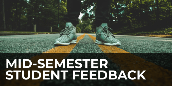 Mid-semester student feedback