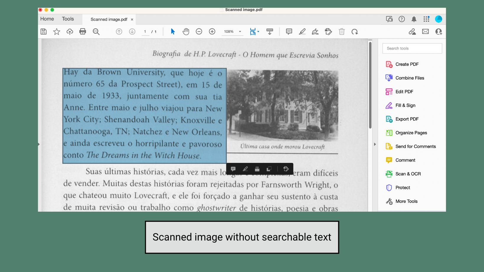 Screenshot of a scanned image of a book page in Adobe Acrobat. A solid blue box overlays a paragraph of text in the image, indicating that each word in the book is not scannable. Below the image, there is a text box that reads “Scanned image without a searchable text.” 