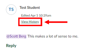 A screenshot of a Canvas discussion reply that has been edited. The reply's "View History" link is highlighted.