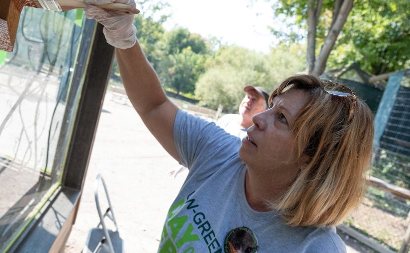 Save the Date – October 7, UW-Green Bay Day of Service