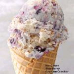 Blueberry Ice Cream photo
