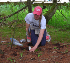 Lydia Deweese collecting soil cores at the Ridges Sanctuary.