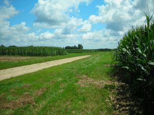Wisconsin Integrated Cropping Systems Trial at the UW Arlington Research Station 