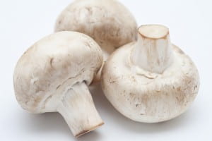Three White Mushrooms on White Background