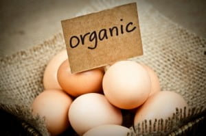 Organic-Eggs