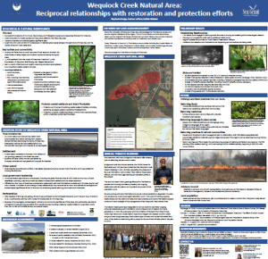 thumbnail view of poster presented at Natural Areas Association Conference, 2022. titled Wequiock Creek Natural Area: Reciprocal relationships with restoration and protection efforts