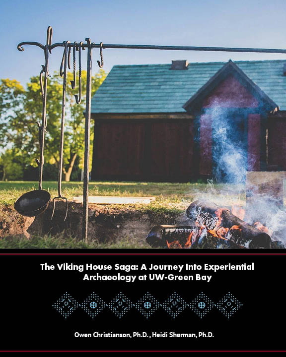 The Viking House Saga book cover